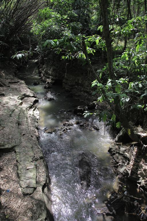 Rumah Senjakala バントル エクステリア 写真